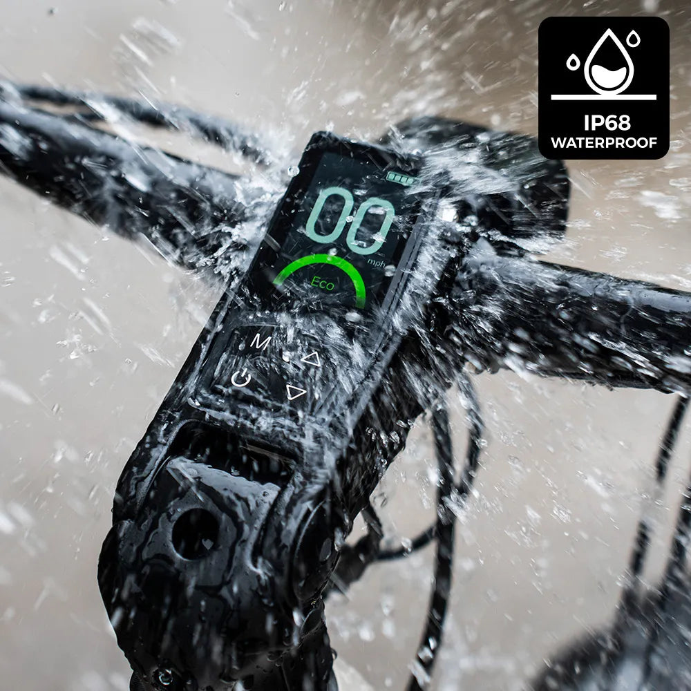 Fiido Nomads Touring E-bike